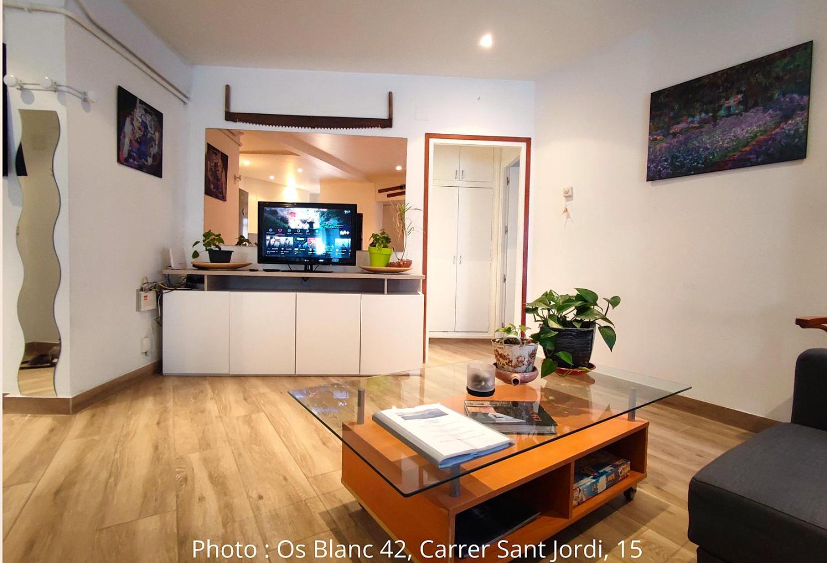 Ac Apartaments Centre パス・デ・ラ・カサ 部屋 写真