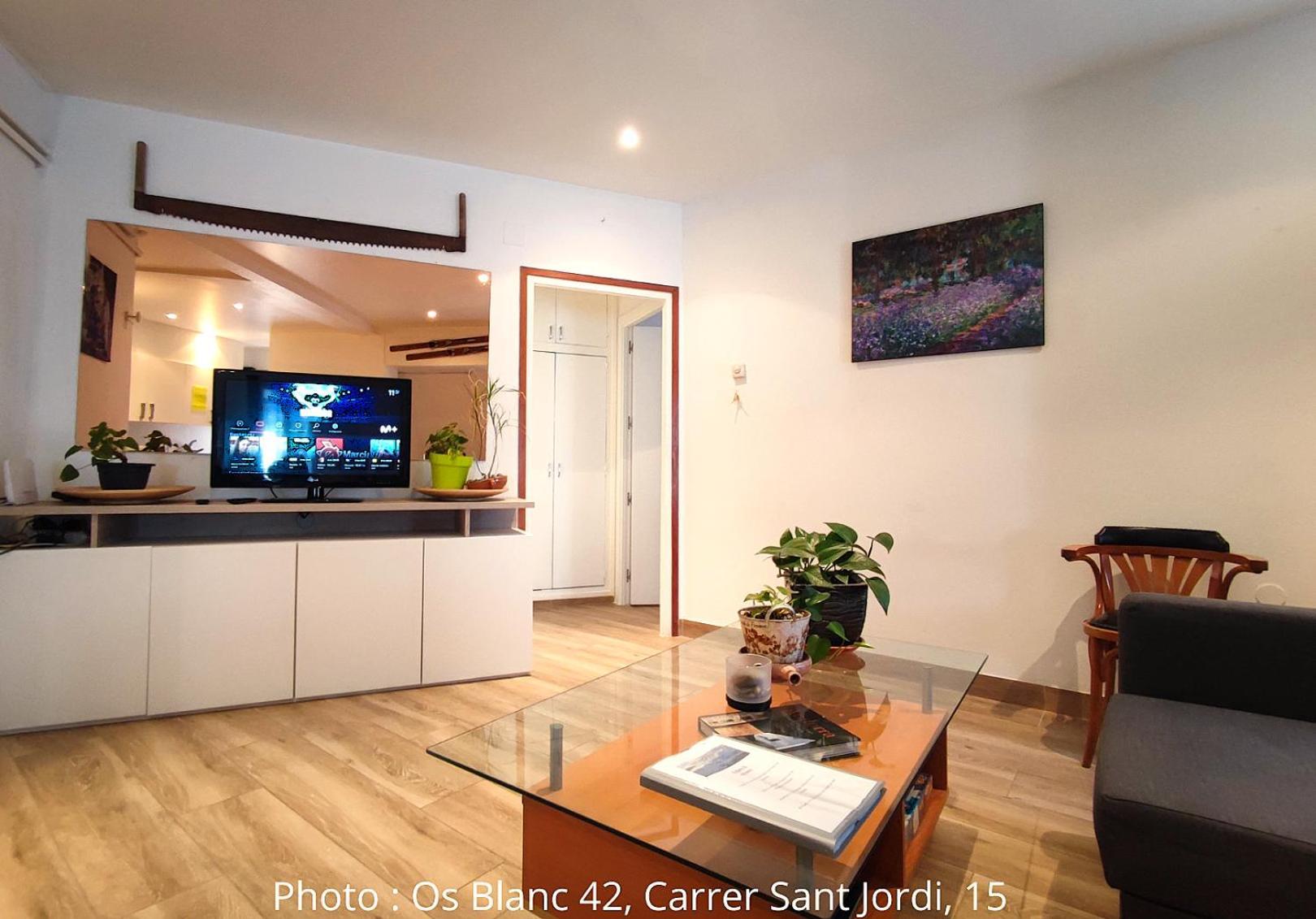 Ac Apartaments Centre パス・デ・ラ・カサ 部屋 写真