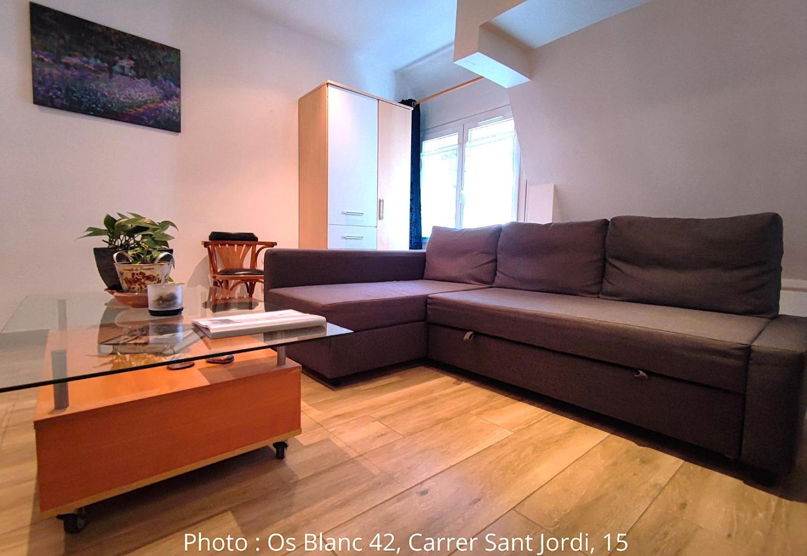 Ac Apartaments Centre パス・デ・ラ・カサ 部屋 写真