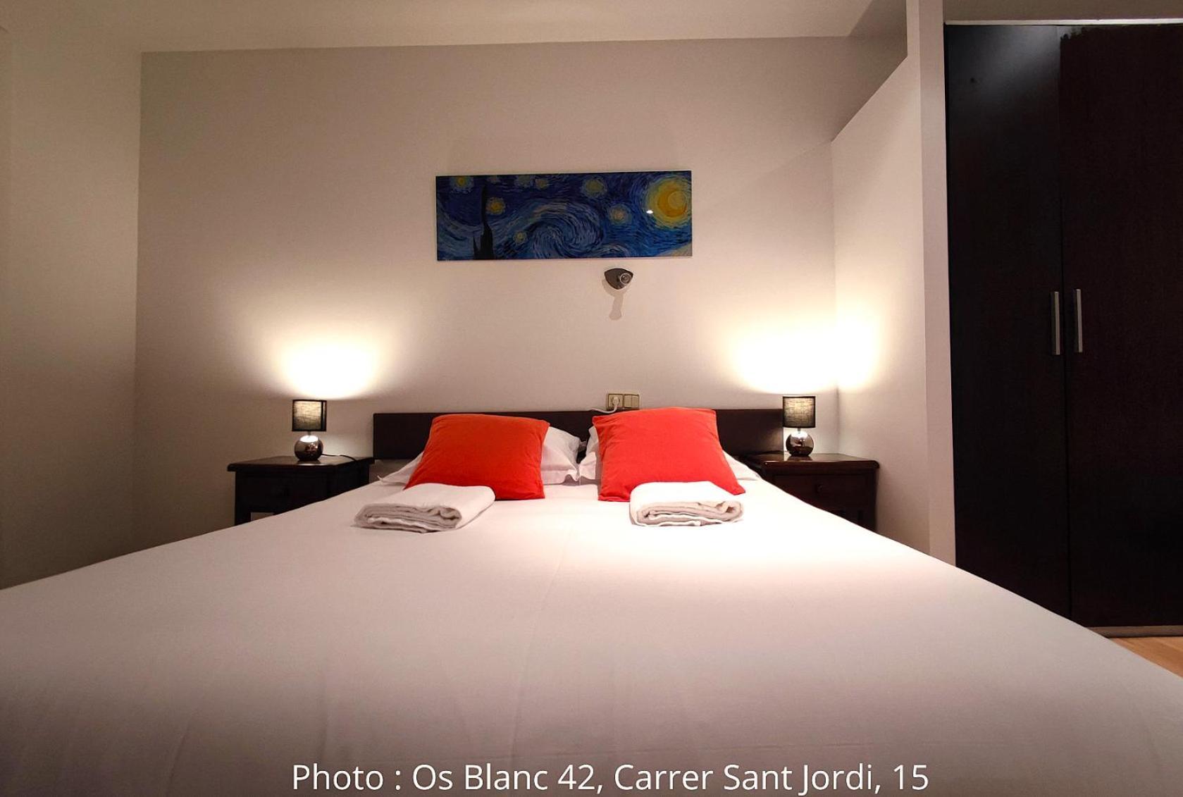 Ac Apartaments Centre パス・デ・ラ・カサ 部屋 写真